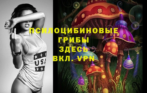 2c-b Абдулино