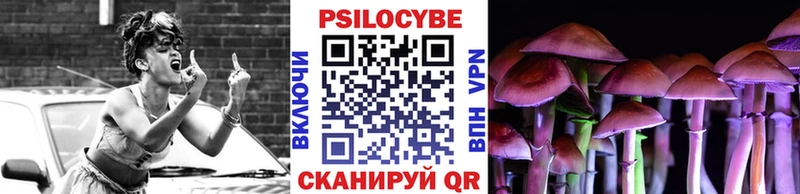 Псилоцибиновые грибы мицелий Лесозаводск